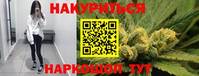 индика Шелехов