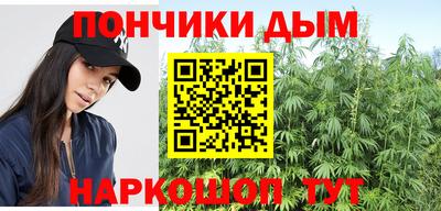 индика Шелехов
