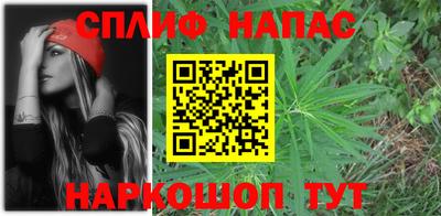 индика Шелехов