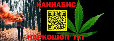 индика Шелехов