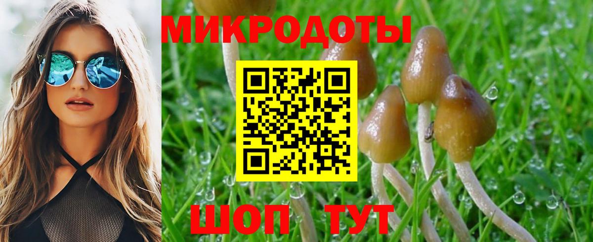 Новый Уренгой  продажа наркотиков  Вход с VPN  Псилоцибиновые грибы GOLDEN TEACHER  Галлюциногенные грибы GOLDEN TEACHER 